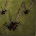 Swarm