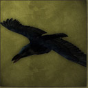 Death Crow